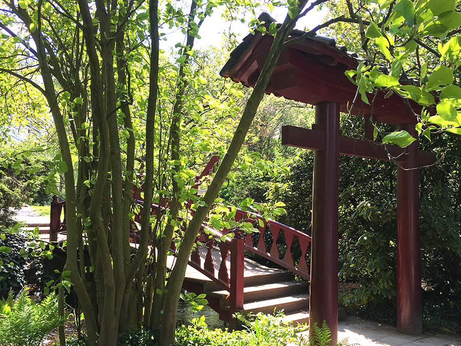 Asiatische Torelemente und Brücken verleihen dem Park sein besonderes Flair.