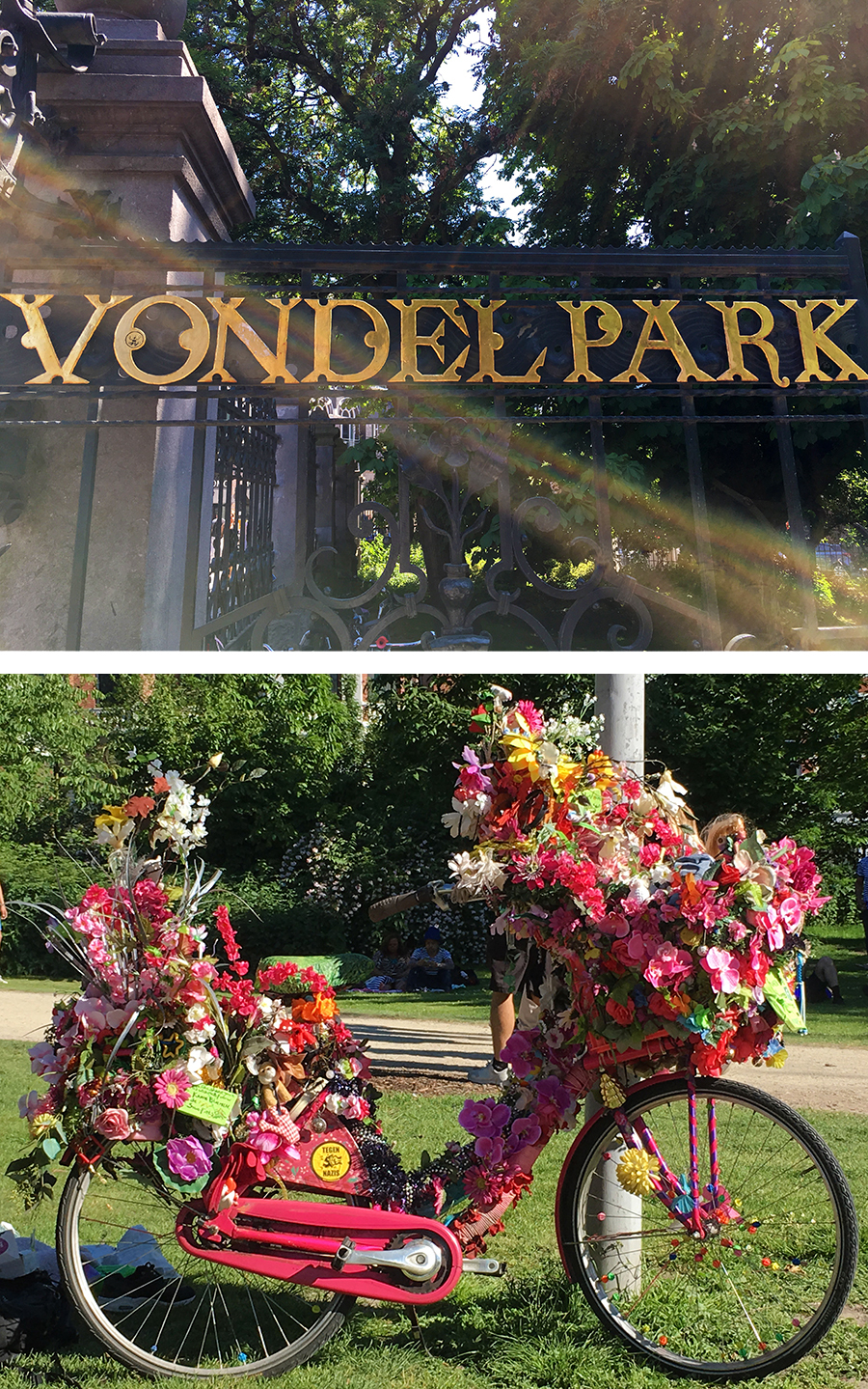 Ein bezauberndes Fahrrad im schönen Vondelpark in Amsterdam