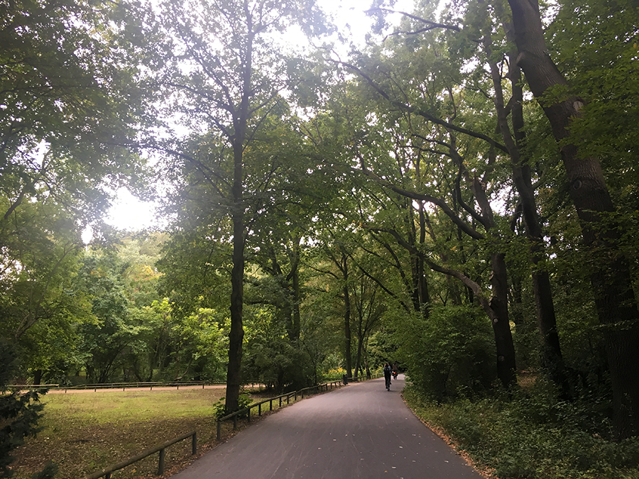 Viele Wege führen vorbei an Bäumen und Wiesen durch Berlins größten Park.