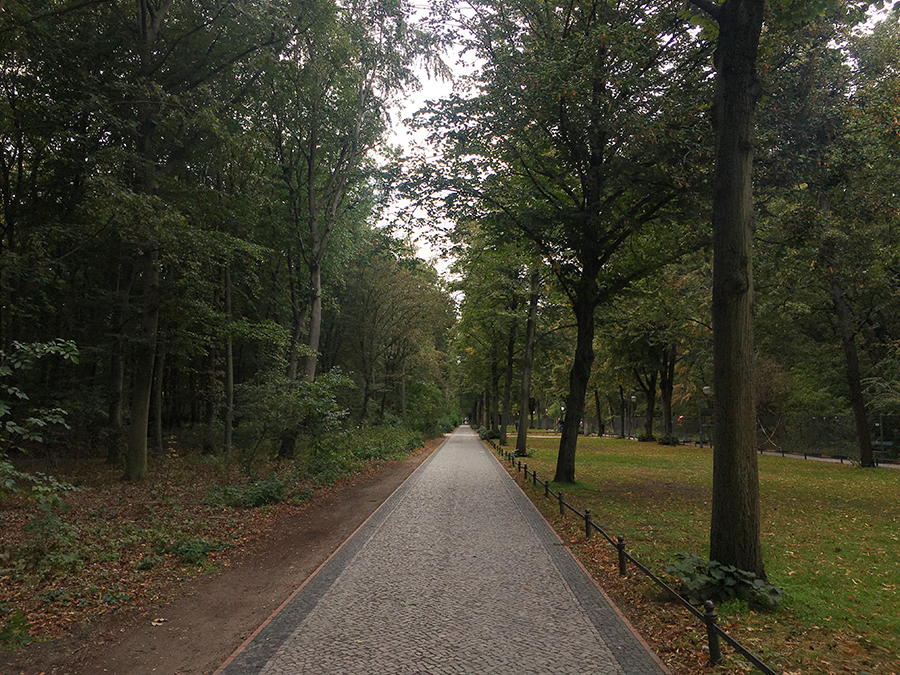 Eine Allee mit Wegen links und rechts im Großen Tiergarten.