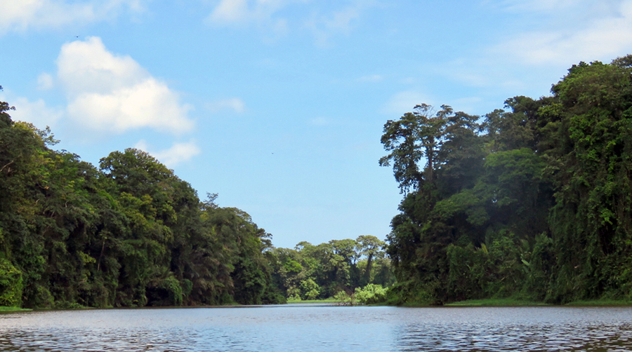 Unterwegs auf einem schier endlosen Fluss, umgeben von dichtem Dschungel, in Costa Rica.