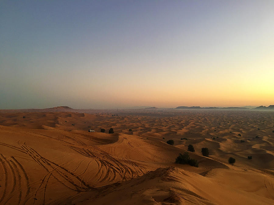 Seht ihr den Jeep? Winzig klein in der unendlichen Wüste, was für ein Erlebnis!