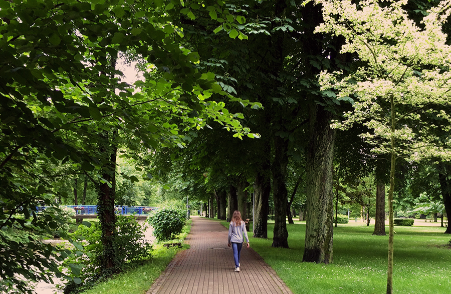 Viel Platz im Kurpark von Bad Krozingen.