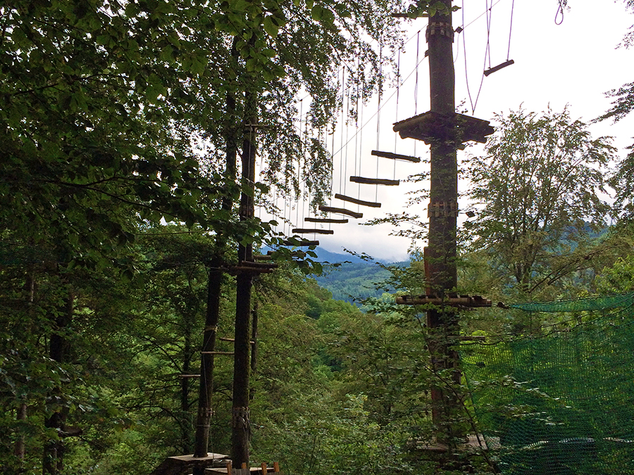 ...für diesen coolen Wald-Parcours.