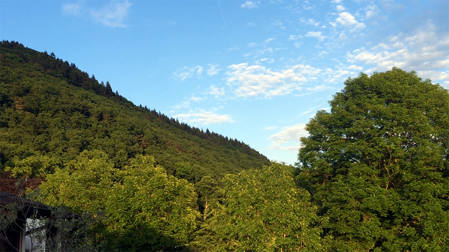 Schon schön hier, oder? Ein Blick auf die schier unendlichen Wälder und Bäume in dieser Gegend.