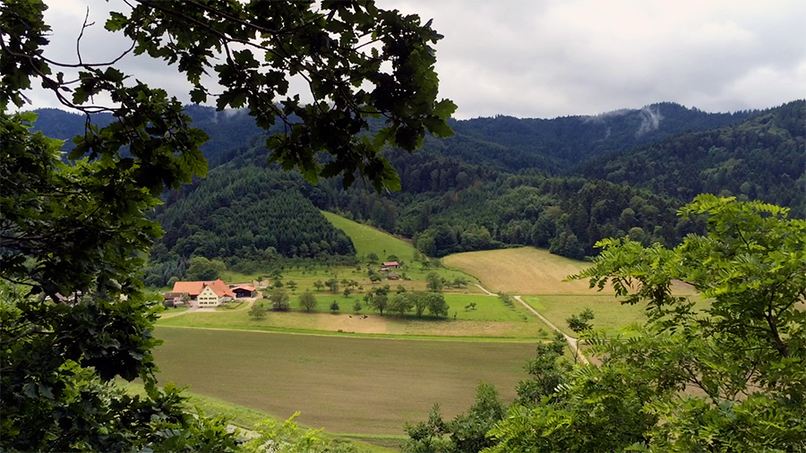 ...das ist wirklich idyllisch hier im Schwarzwald.