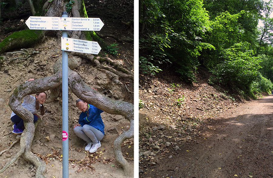 Kurzer Stop am Wegweiser, dann schlagen wir uns in die Büsche!