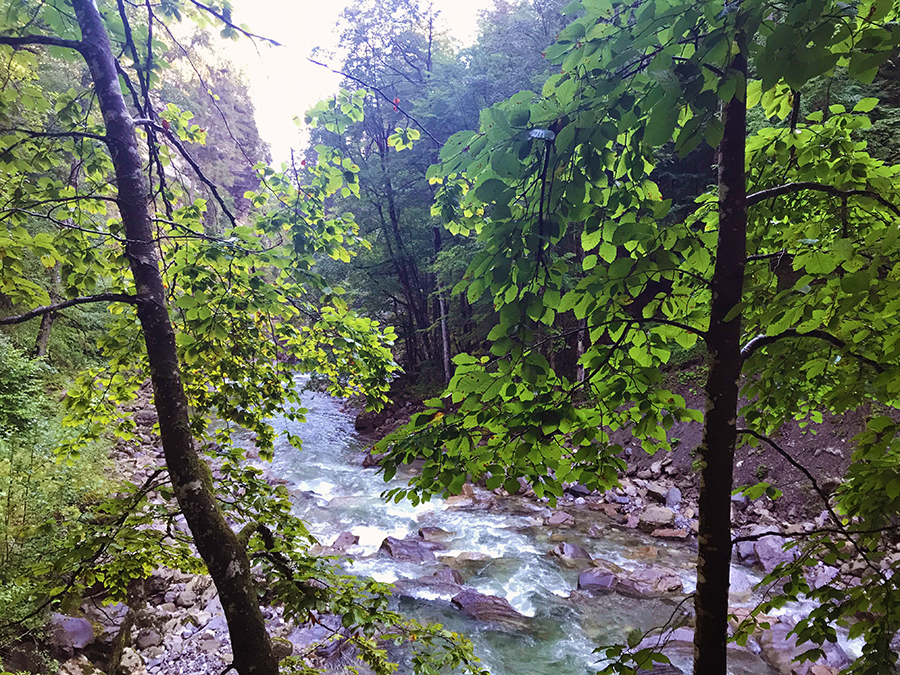 Idyllischer Ausblick durch im Morgenlicht funkelnde Blätter auf die Breitach. Das ist schon wirklich sehr, sehr schön hier!