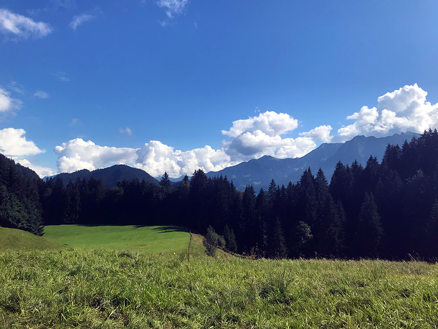 ... dunkle Tannen und im Hintergrund thronen die mächtigen Berggipfel. Wow!