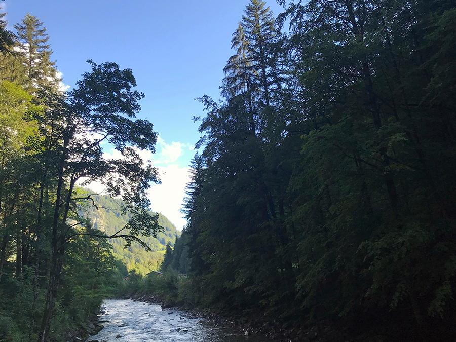 Tipp: Während ihr mutig voranschreitet, auch immer mal wieder einen Blick nach hinten werfen, sonst entgeht euch etwas!