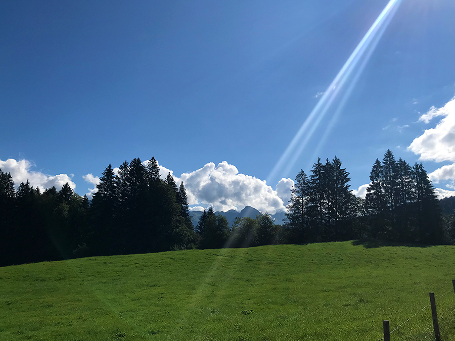 ...unter knallblauem Himmel und Sonnenstrahlen über saftigen Wiesen...