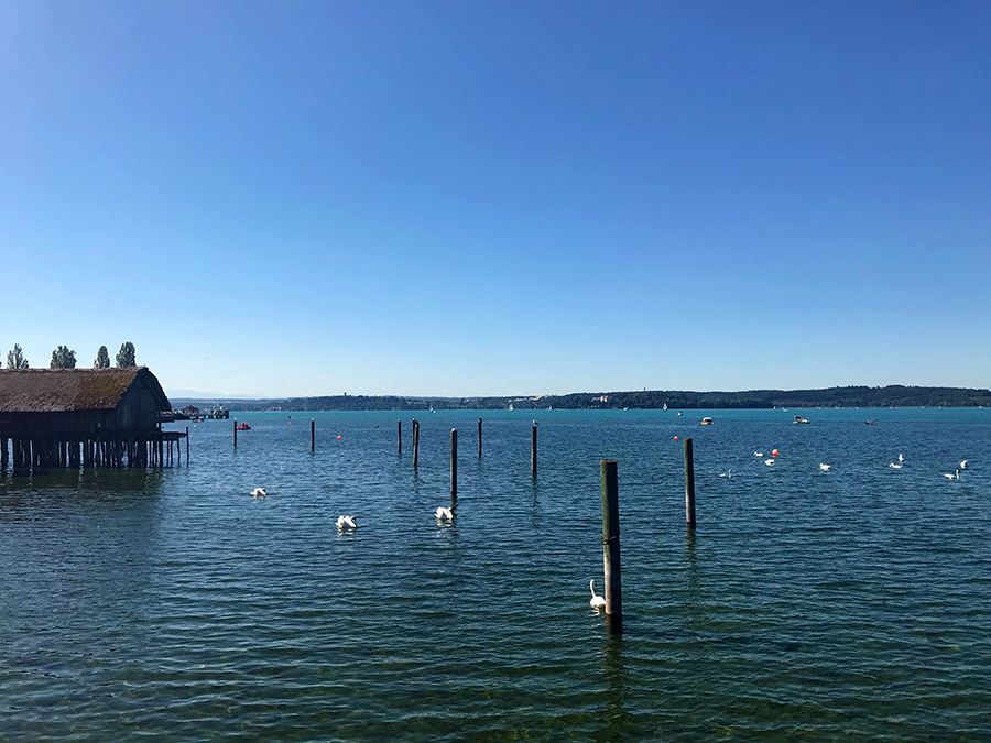 Wir lassen unsere Blicke noch einmal über den Bodensee schweifen, zählen Schwäne...