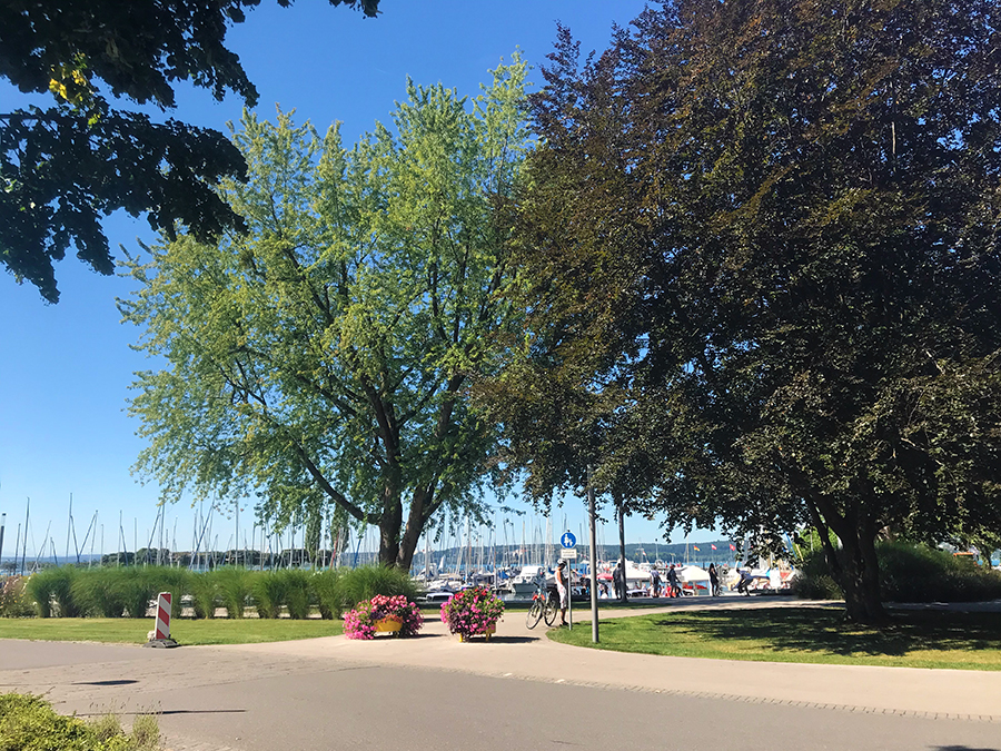 Vom Parkplatz aus einfach immer Richtung Bodensee halten...