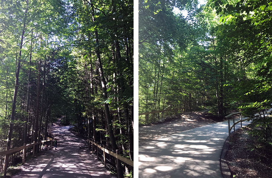 Immer weiter dem Weg durch Wald folgen - durch die vielen Bäumen wieder herrlich schattig, eine riesige Erleichterung im Hochsommer!