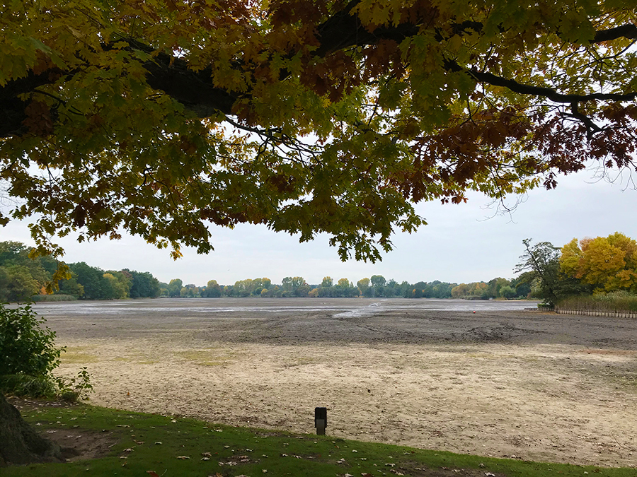 Nach einem langen Sommer wurde das Wasser im künstlich angelegten Dutzendteich zum großen Teil abgelassen.