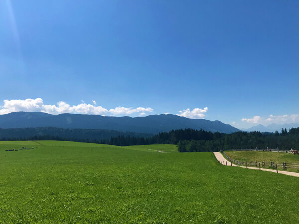 Wie aus dem Bilderbuch: Perfektes Wetter für unseren Roadtrip entlang der "Romantischen Straße".