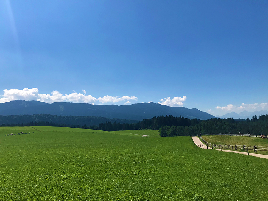 ... wirklich wunderschön ist es hier im Allgäu!