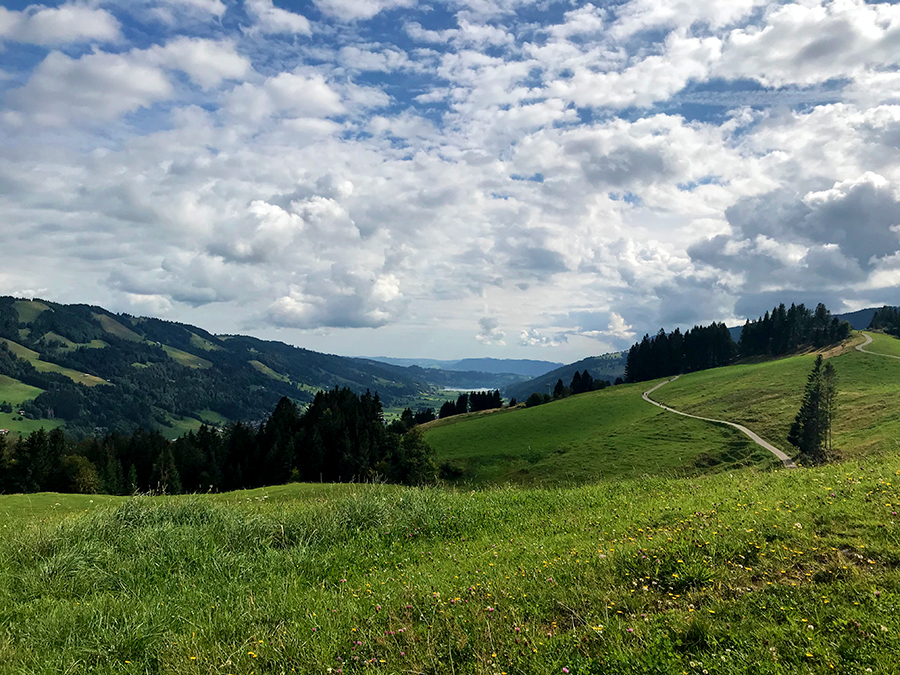 Was für ein Ausblick von hier oben, bis hin zum Großen Alpsee kann man schauen!