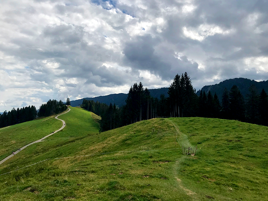 Hier über den kleinen Trampelpfad durch das Drehkreuz geht unser Weg gleich weiter.