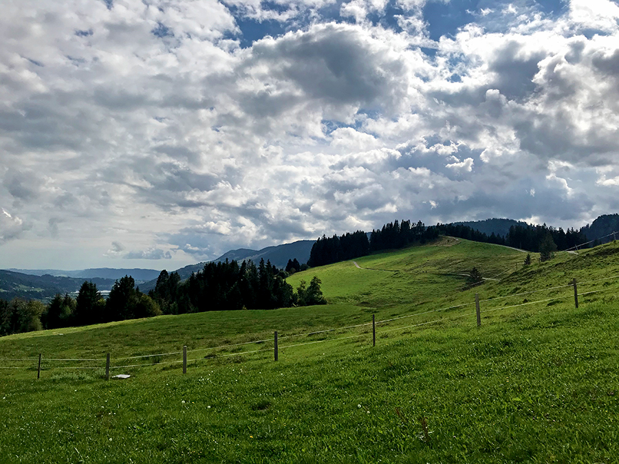 Pure Bergidylle hier oben über tiefgrünen Wiesen...