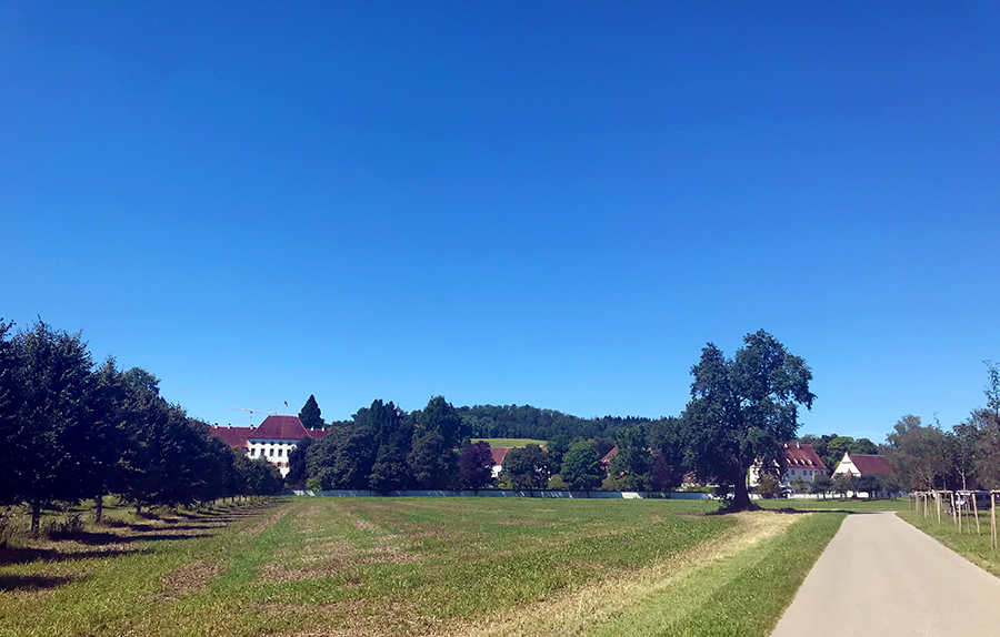 Unser kleiner Fussweg vom Auto zum Schloss. Es gibt auch nähere Parkplätze, aber dafür sind wir an diesem Wochenende zu spät dran.