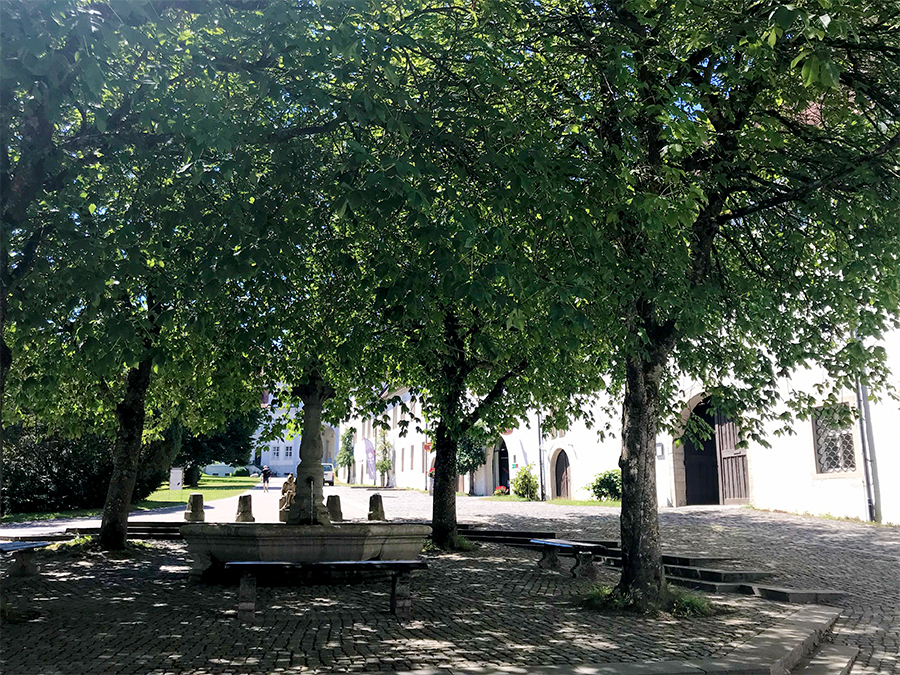 Auf den Parkbänken am Brunnen unter den schattigen Bäumen kann man gut eine Pause machen.