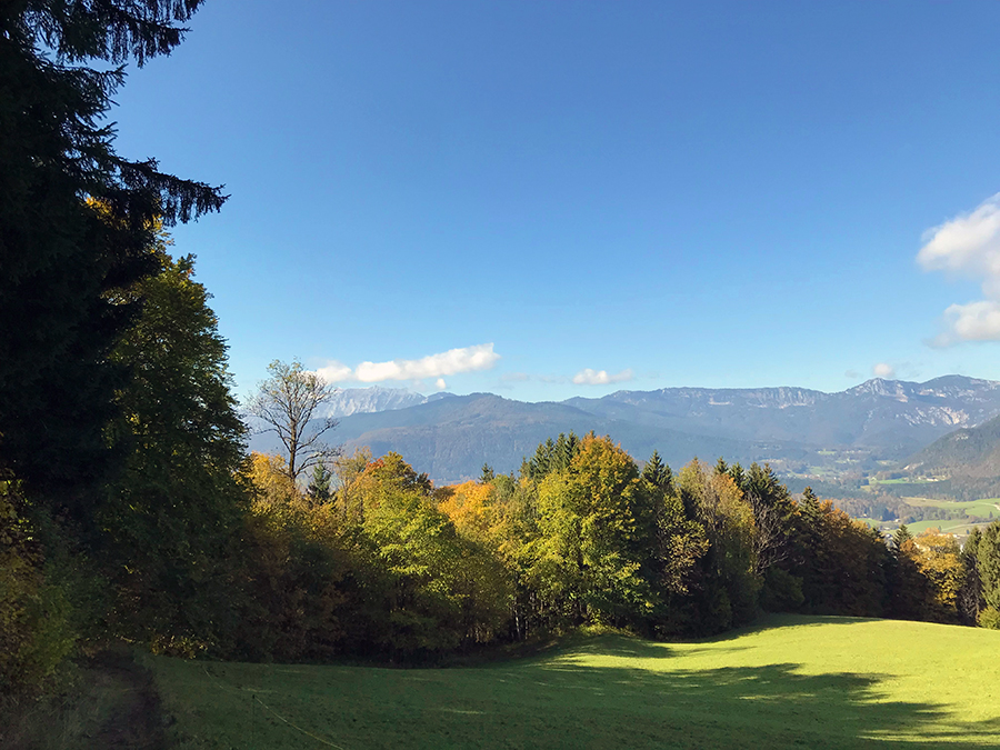 Sicherheitshalber machen wir Stadtkinder ein paar Beweisfotos, falls wir hier im Wald verlorengehen und man nur noch unsere Handys findet.