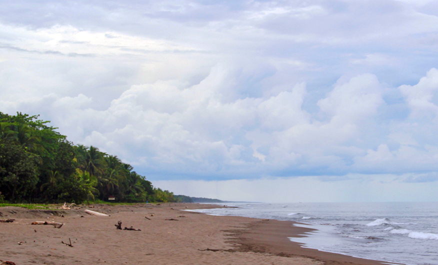 Costa Rica: Strand, Dschungel, Meer - und so viel Lebensfreude! ¡Pura vida!