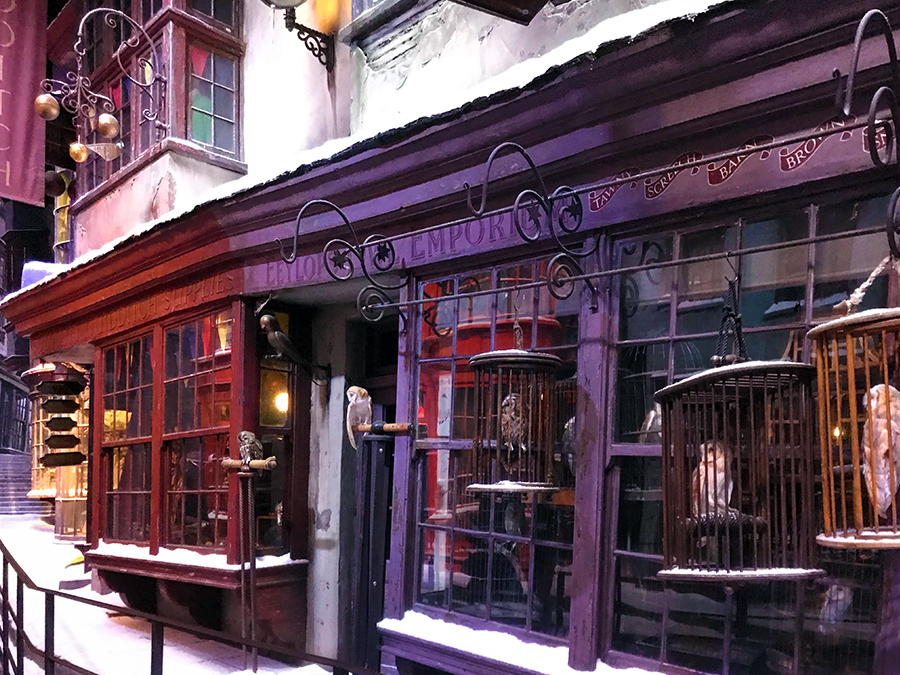 ... über Eeylops Owl Emporium, in dem Hagrid Harrys Hauseule Hedwig erwirbt, ...