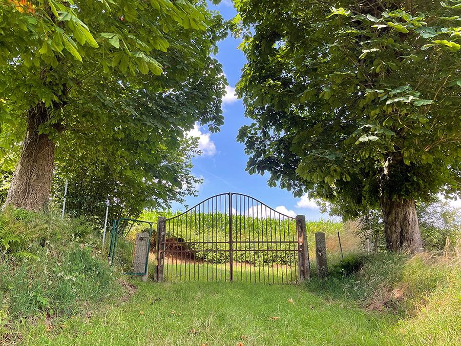 Das Gartentor am Ende des Grundstücks bei unserem Housesitting-Aufenthalt: Pure Idylle in der wildromantischen Normandie.