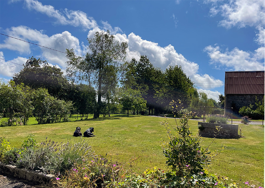 Beim Housesitting in der Normandie passen wir auf zwei treuherzige Labradore auf - nichts lieber als das!